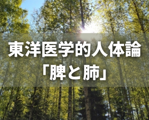 東洋医学的人体論「脾と肺」